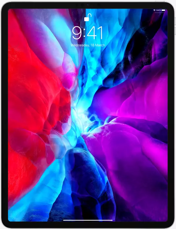 2020 iPad Pro Panel