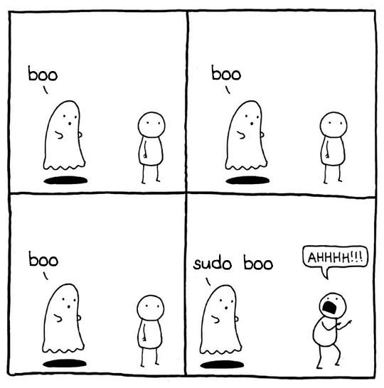 Sudo meme